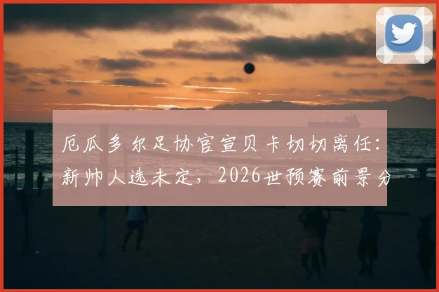 厄瓜多尔足协官宣贝卡切切离任：新帅人选未定，2026世预赛前景分析